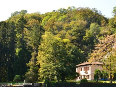qualba