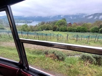 WhatsApp Image 2025-06-19 at 18.11.11