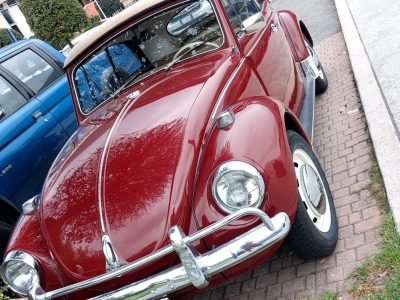 WhatsApp Image 2025-06-19 at 18.11.12